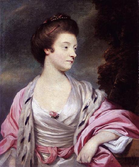 Sir Joshua Reynolds Elizabeth, Lady Amherst Germany oil painting art
